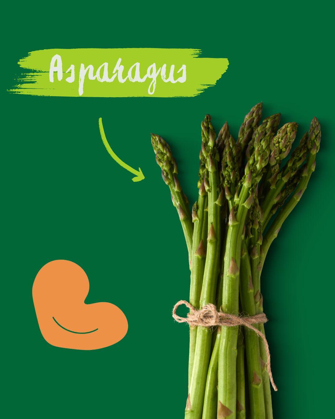 Aspargo: Benefícios e Receitas para Incluir esse Vegetal na sua Alimentação