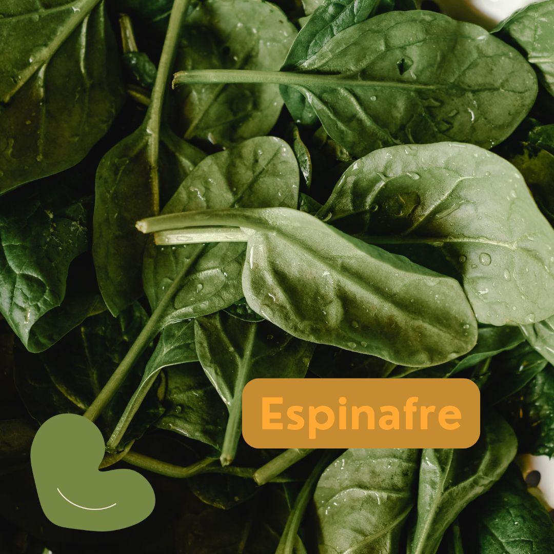 Espinafre: o superalimento que não pode faltar na sua dieta!