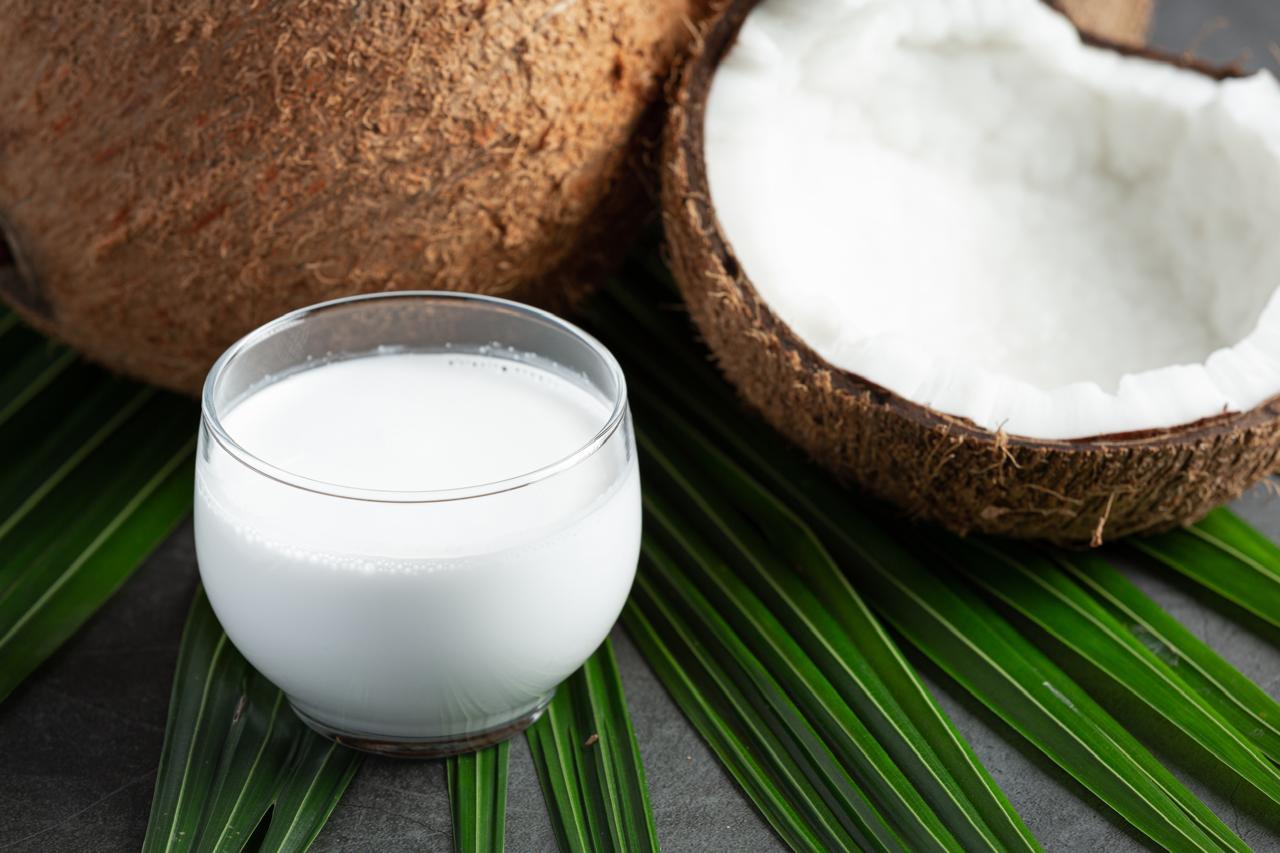O Poder do Leite de Coco: Nutrição e Sabor em Cada Produto