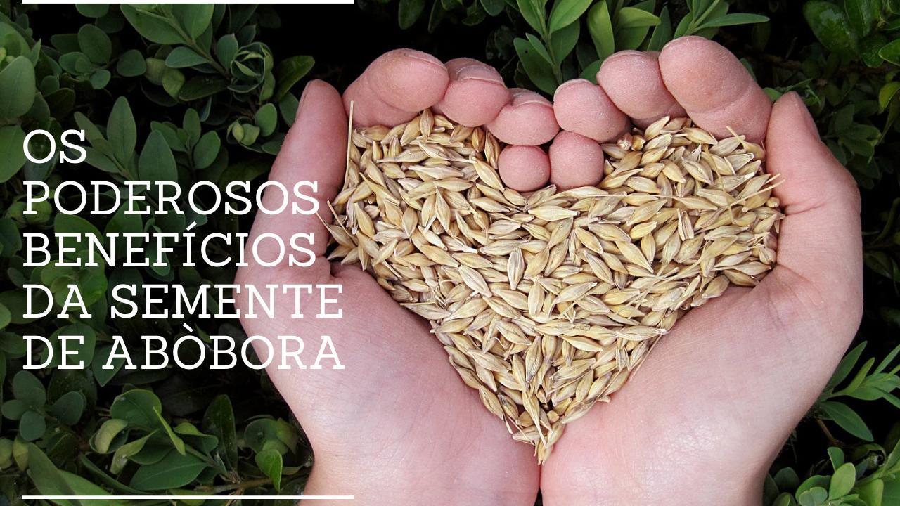 Os Poderosos Benefícios da Semente de Abóbora para uma Vida Saudável"